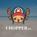 PORTAL | CHOPPER INU 🪶