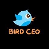 BIRD CEO
