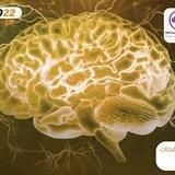 العصبون الذهبي 2023 The Golden Neuron
