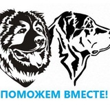 Поможем вместе 39