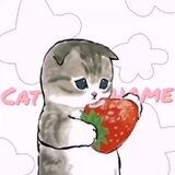 ‼️ЗАКРЕП‼️🐈``𝐂𝐚𝐭𝐇𝐨𝐦𝐞