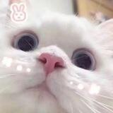 一路向北