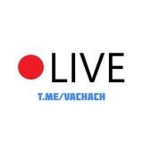 Vachach - LIVE