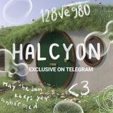 HALCYON! OPEN.