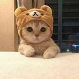 BEG_GAMER_X OTZIV