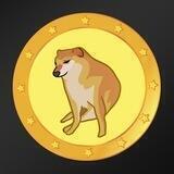 LOUSY DOGE PORTAL