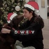 dewsery