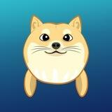 Dogewhale Community