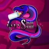 BabySpaceSnake - Portal 🐍