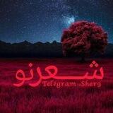 شعر نو | taraneh.T