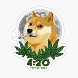 Doge 420