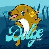 DOLGE Coin - Portal