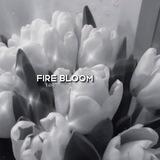 fire bloom.