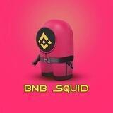 BNB Squid Portal