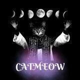CatMeow Portal