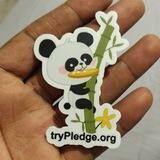 PLEDGE COIN