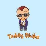 Teddy Shiba