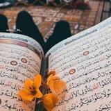 لَا تَفْقَهُونَ تَسْبِيحَهُمْ