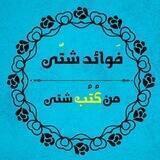 فوائد شتى من كتب شتى