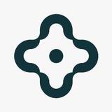 Salini SRL