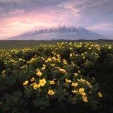 annasanna_photo