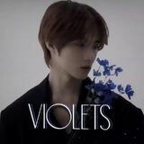 violets.