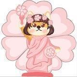 Babymissdoge