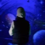 🐬