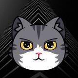 KITTY 0.5