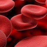 PureBloodsUnite