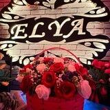 Elya sog'lomlashtirish