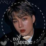 ៹ ִֶָ 𝙀𝙓𝙊 𝙨𝙚𝙘𝙧𝙚𝙩 ༄