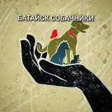 БАТАЙСК СОБАЧНИКИ🐾