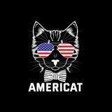 AmeriCat Portal