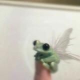 ─❟ʾ₍ ꞌꞋꞌStory WhatsAppꞌꞋꞌ ₎