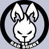 🐰Bad Bunny|Verify