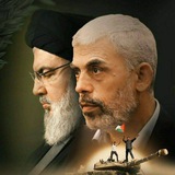 اللجنة العلمية العامة -كلية الطب