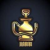 HABIBI PORTAL