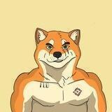 Troy Inu Portal