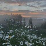 wellix🐾
