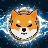 Shibcoin唯一中文官方群