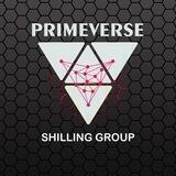 PrimeVerse Shilling Group 🚀🚀