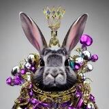 RoyalRabbit ETH