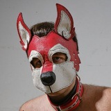 Pup King