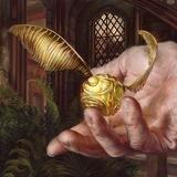 GOLDEN💰SNITCH