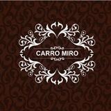 CARRO MIRO