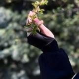 Сверкай словно бриллиант.