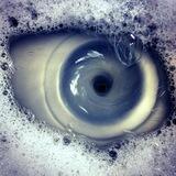 PAREIDOLIA COMMUNITY PORTAL