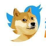 TwitterDoge