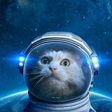 Стикеры Телеграм ♻️ Telegram Stickers